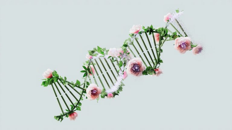 DNA and the Image of God: Exploring the Divine Blueprint
